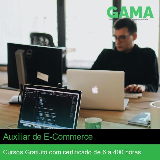 Auxiliar de E-Commerce